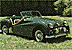 TR3