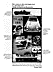 TR4A Ad